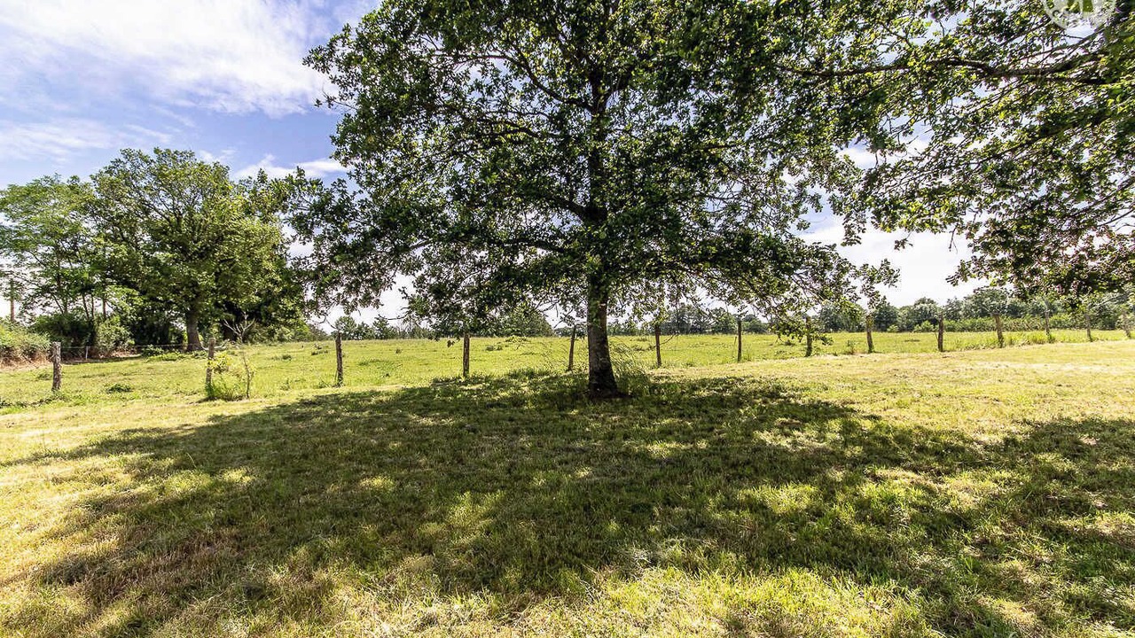 Photo of Others in Vitry-sur-Loire