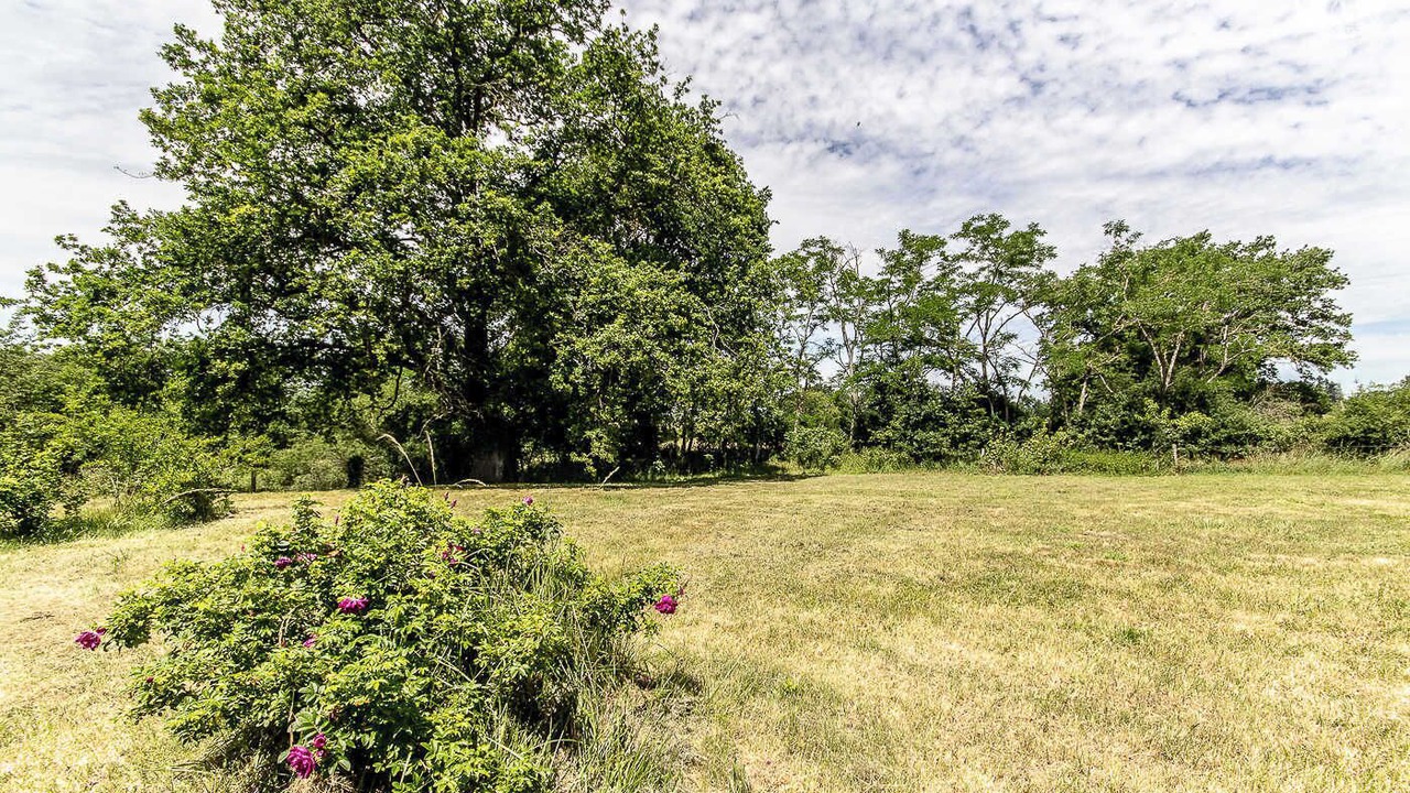 Photo of Others in Vitry-sur-Loire