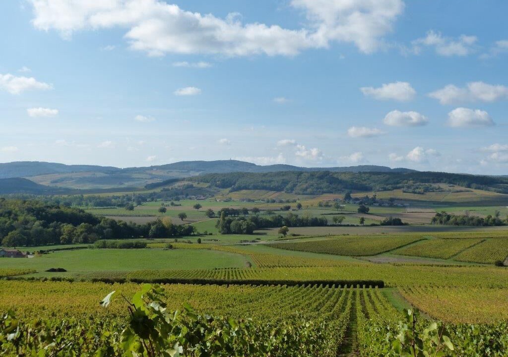 Photo of Others in Peronne