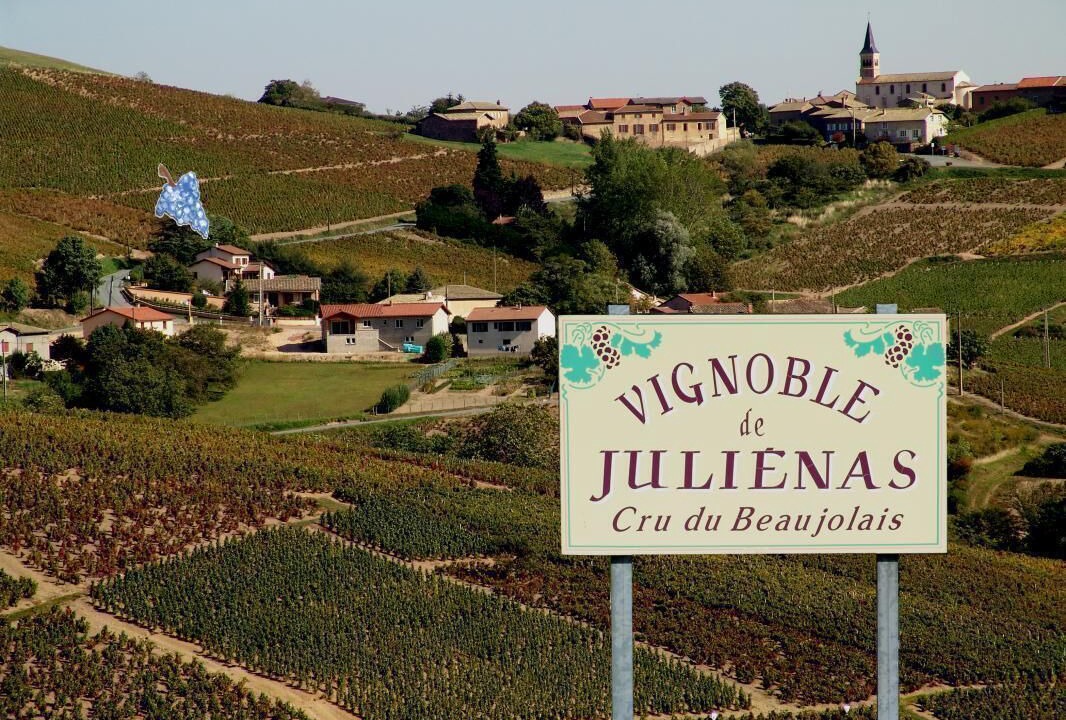 Photo of Outdoor in Pruzilly