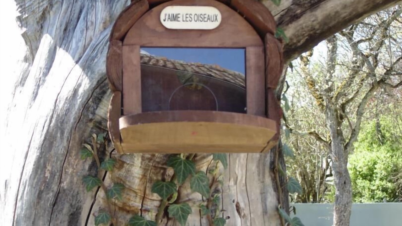 Photo of Outdoor in Toulon-sur-Arroux