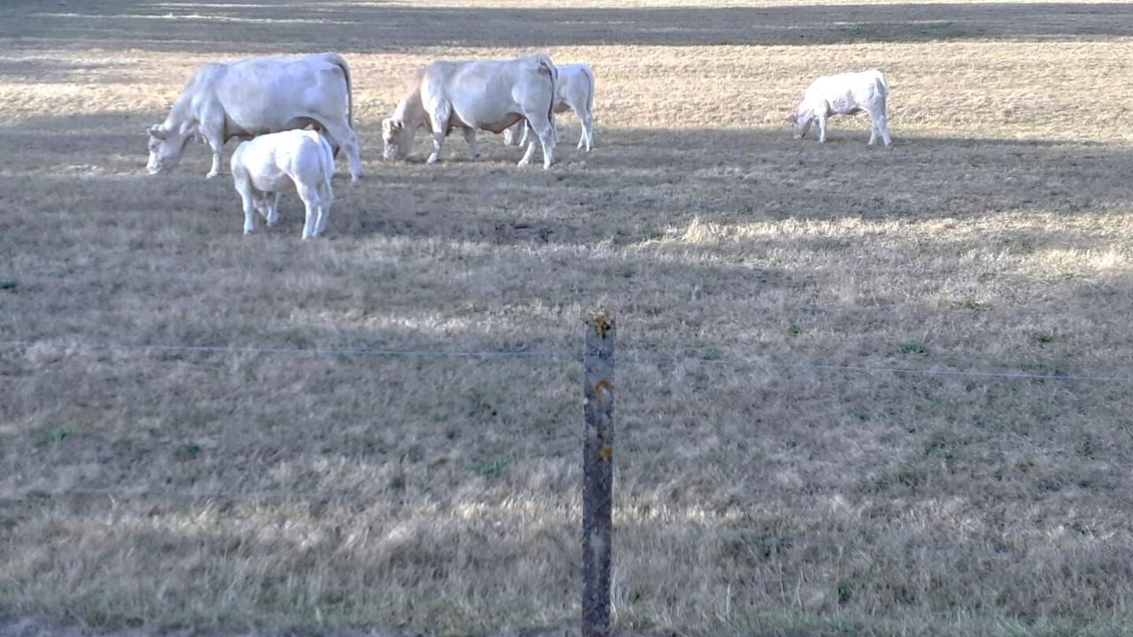 Photo of Outdoor in Toulon-sur-Arroux