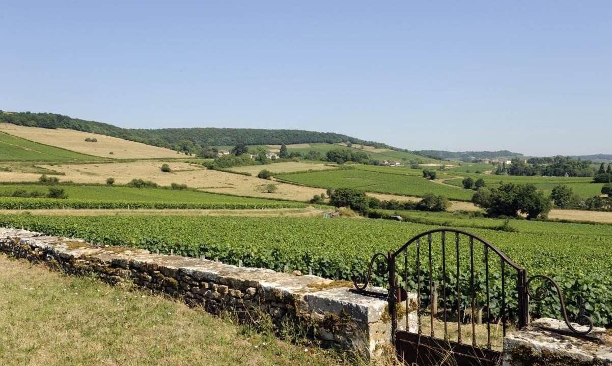 Photo of Outdoor in Chenoves