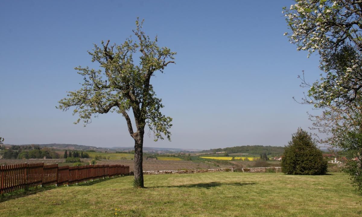 Photo of Outdoor in Chenoves