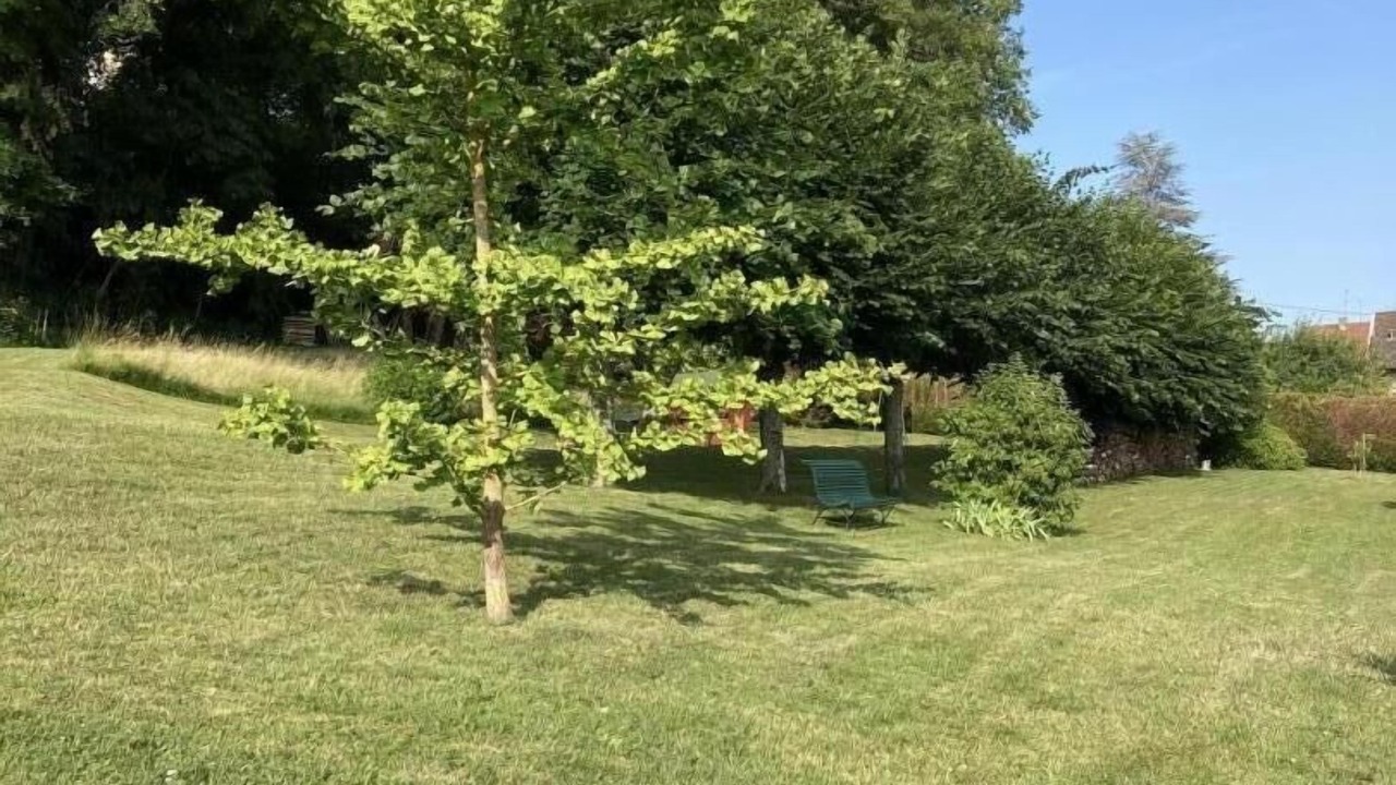 Photo of Outdoor in Laize