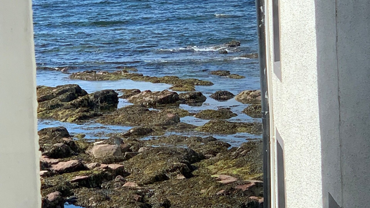 Photo of Others in Gardenstown