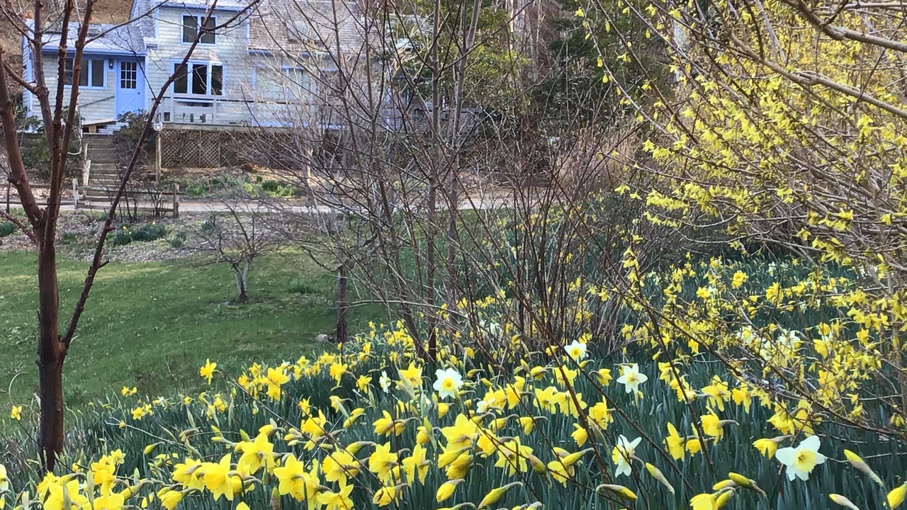 Photo of Outdoor in Truro