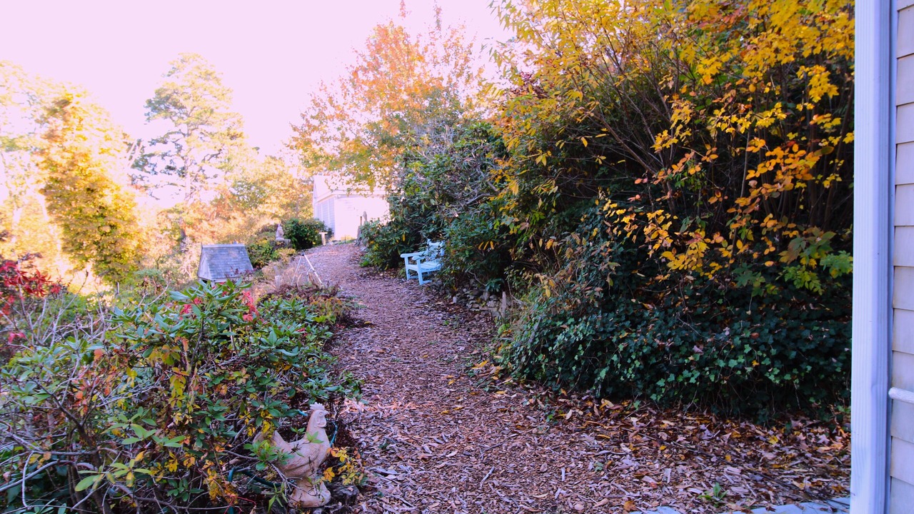 Photo of Outdoor in Truro