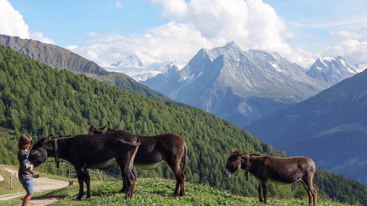 Photo of Outdoor in Saint-Martin