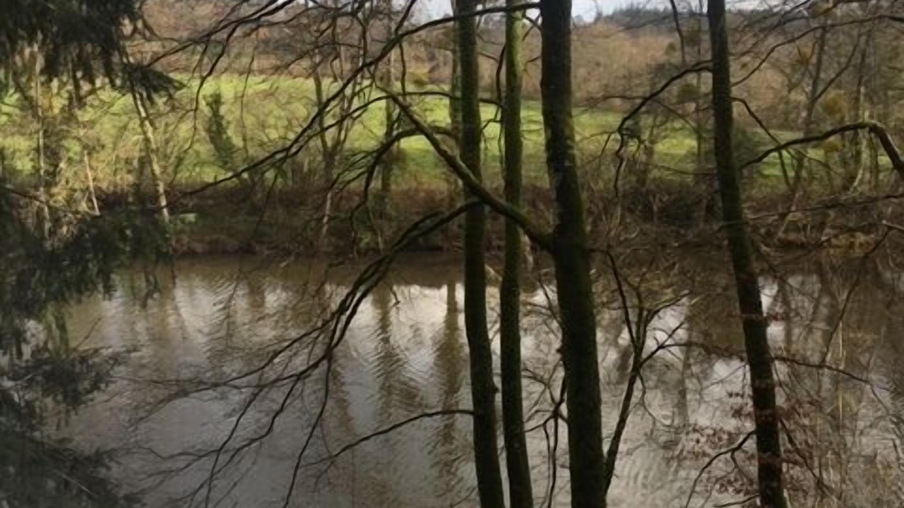 Photo of Others in Domfront en Poiraie