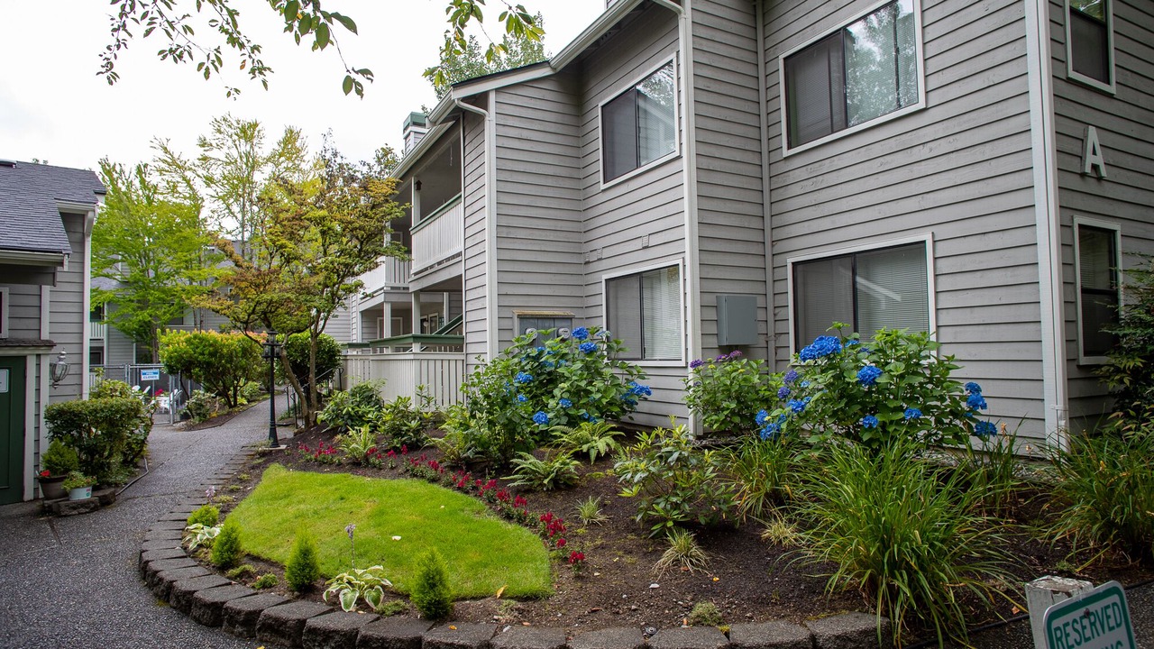 Photo of Others in Overlake