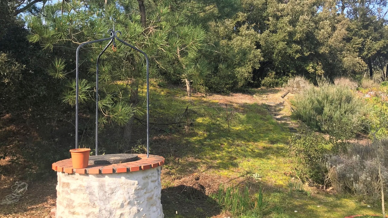 Photo of Outdoor in La Tranche-sur-Mer