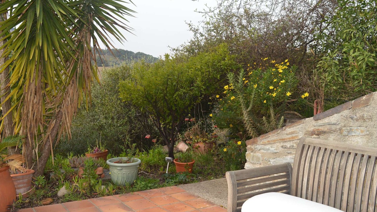 Photo of Patio Balcony in Banyuls-sur-Mer