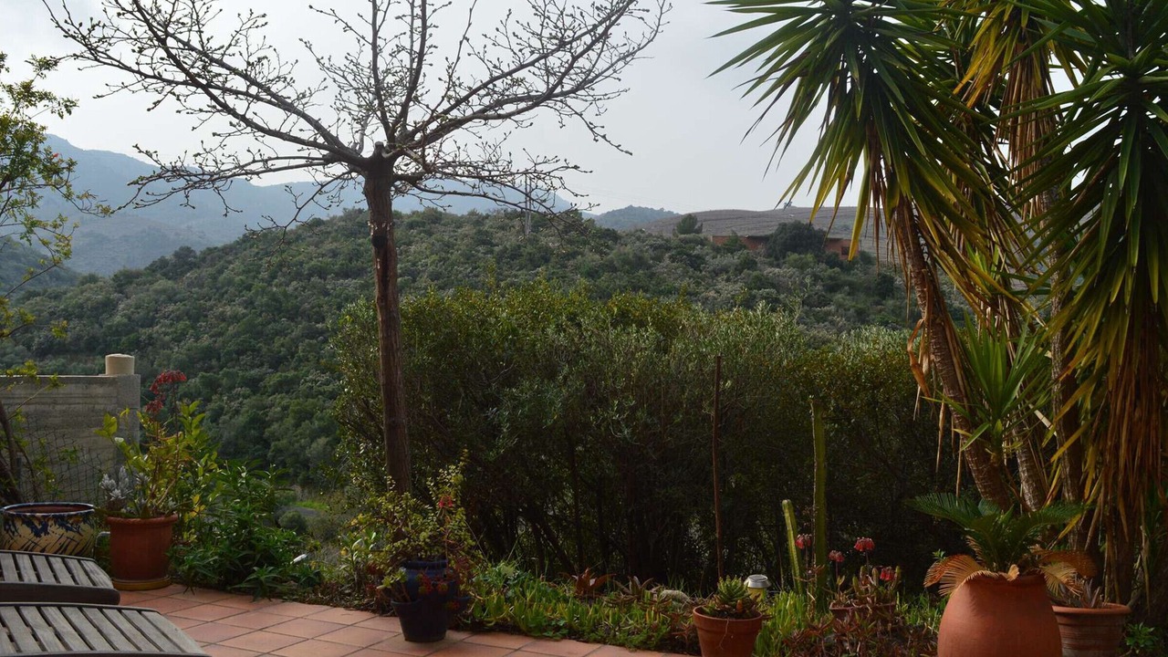 Photo of Patio Balcony in Banyuls-sur-Mer