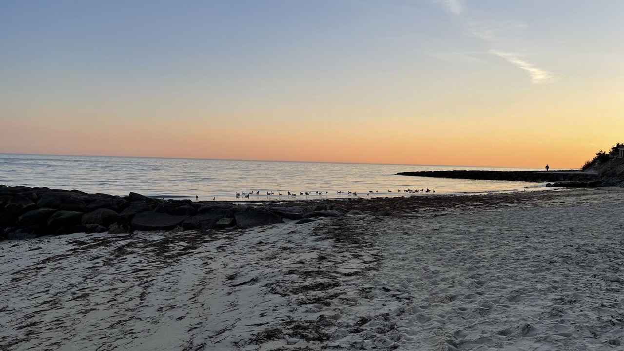 Photo of Others in Dennis Port