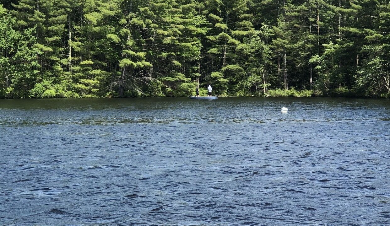 Photo of Others in Town of Lumberland