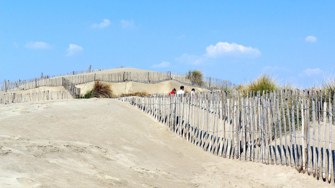 Photo of Others in Aigues-Mortes