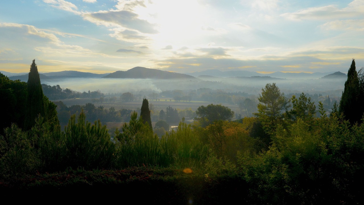 Photo of Others in Taradeau