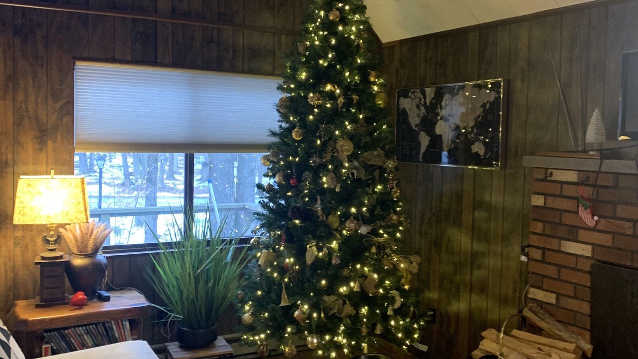 Photo of Livingroom in Thornhurst