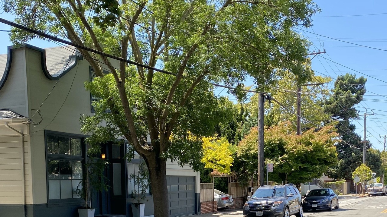 Photo of Others in Southwest Berkeley