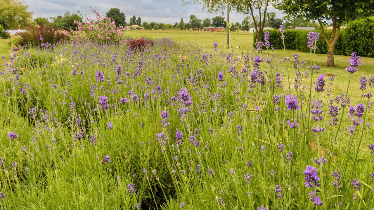 Photo of Outdoor in Saint-Nexans