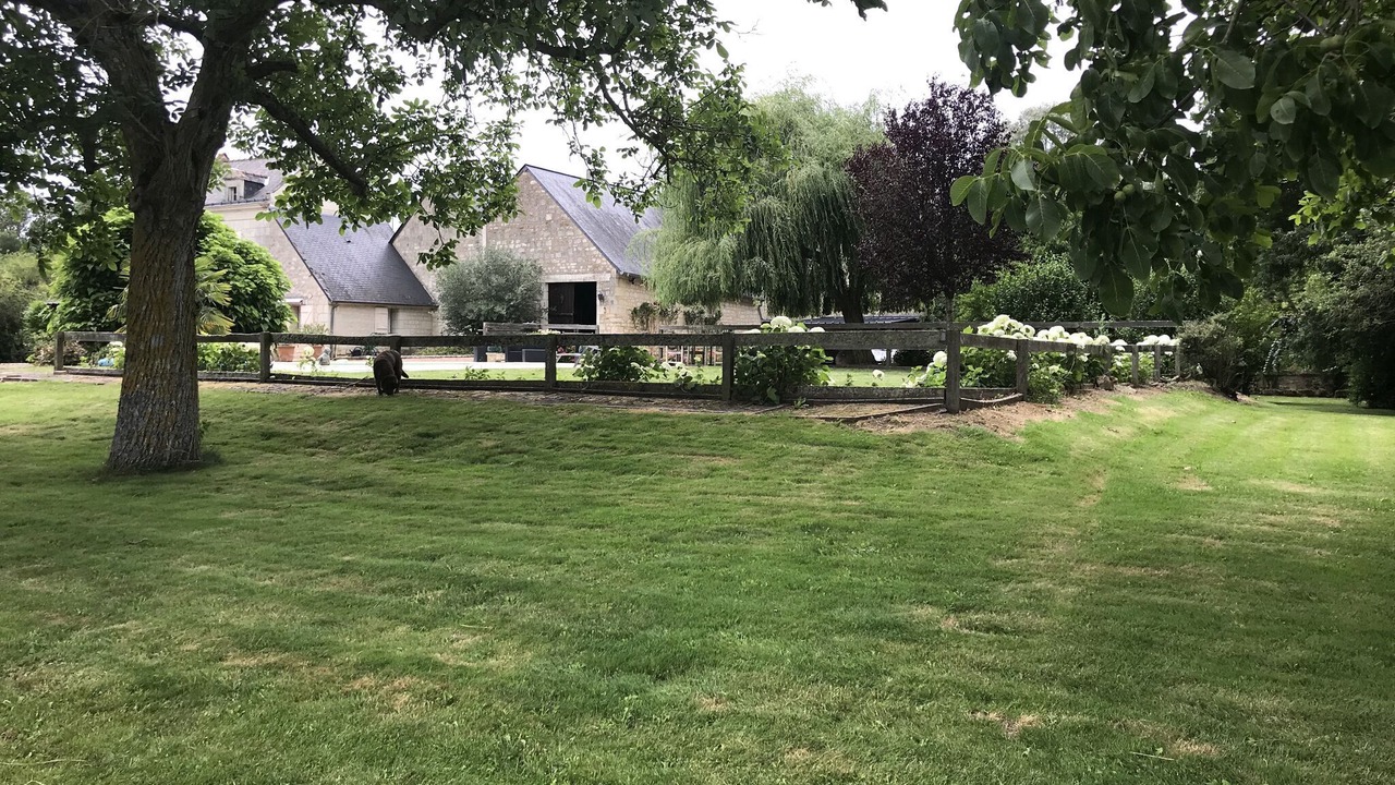 Photo of Outdoor in Cinais