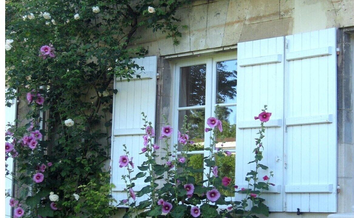 Photo of Outdoor in Machemont