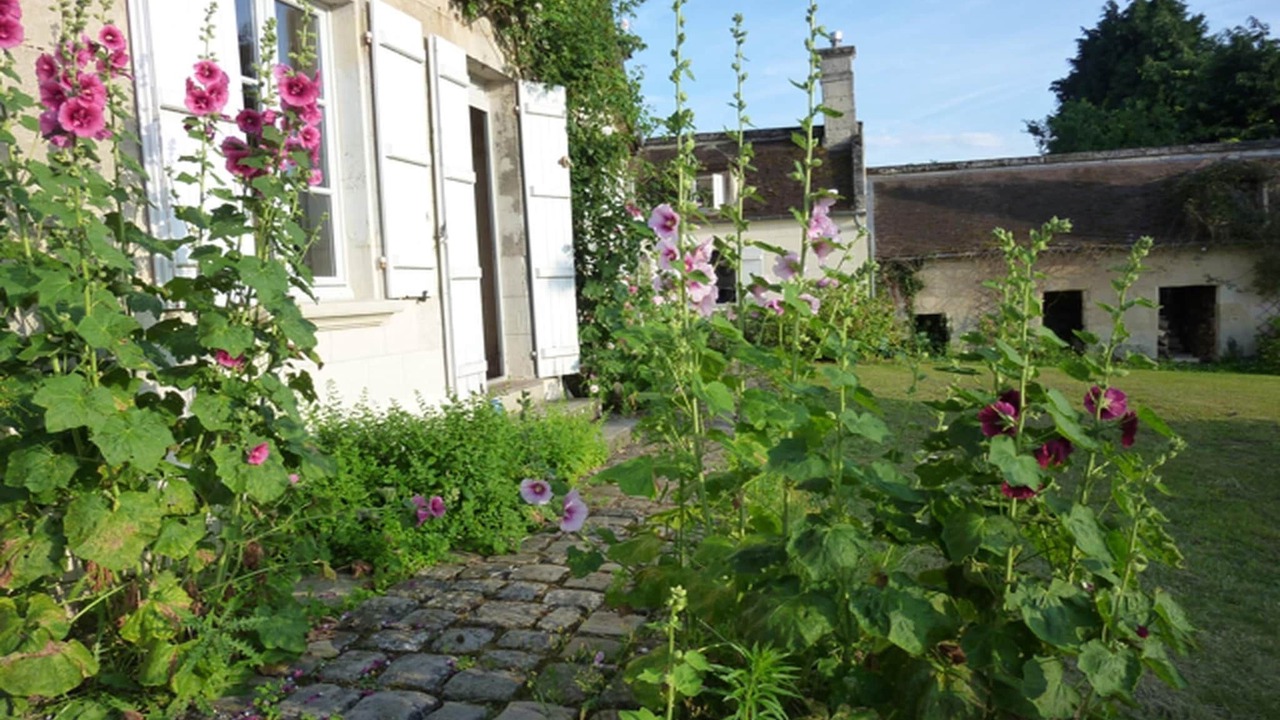 Photo of Outdoor in Machemont
