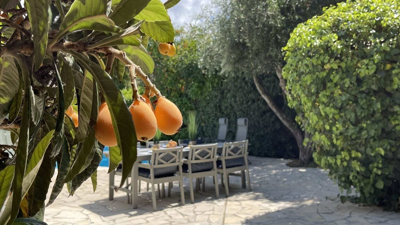 Photo of Outdoor in Saint-Couat-dʼAude