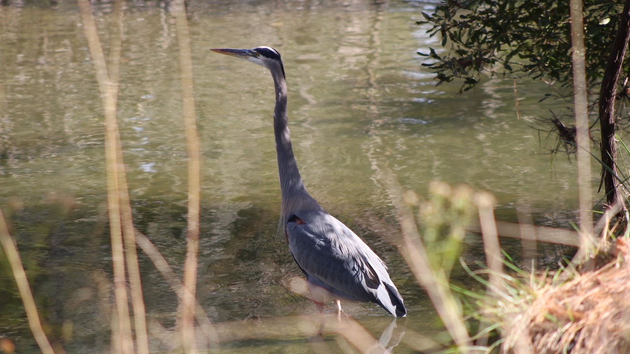 Photo of Others in Onancock