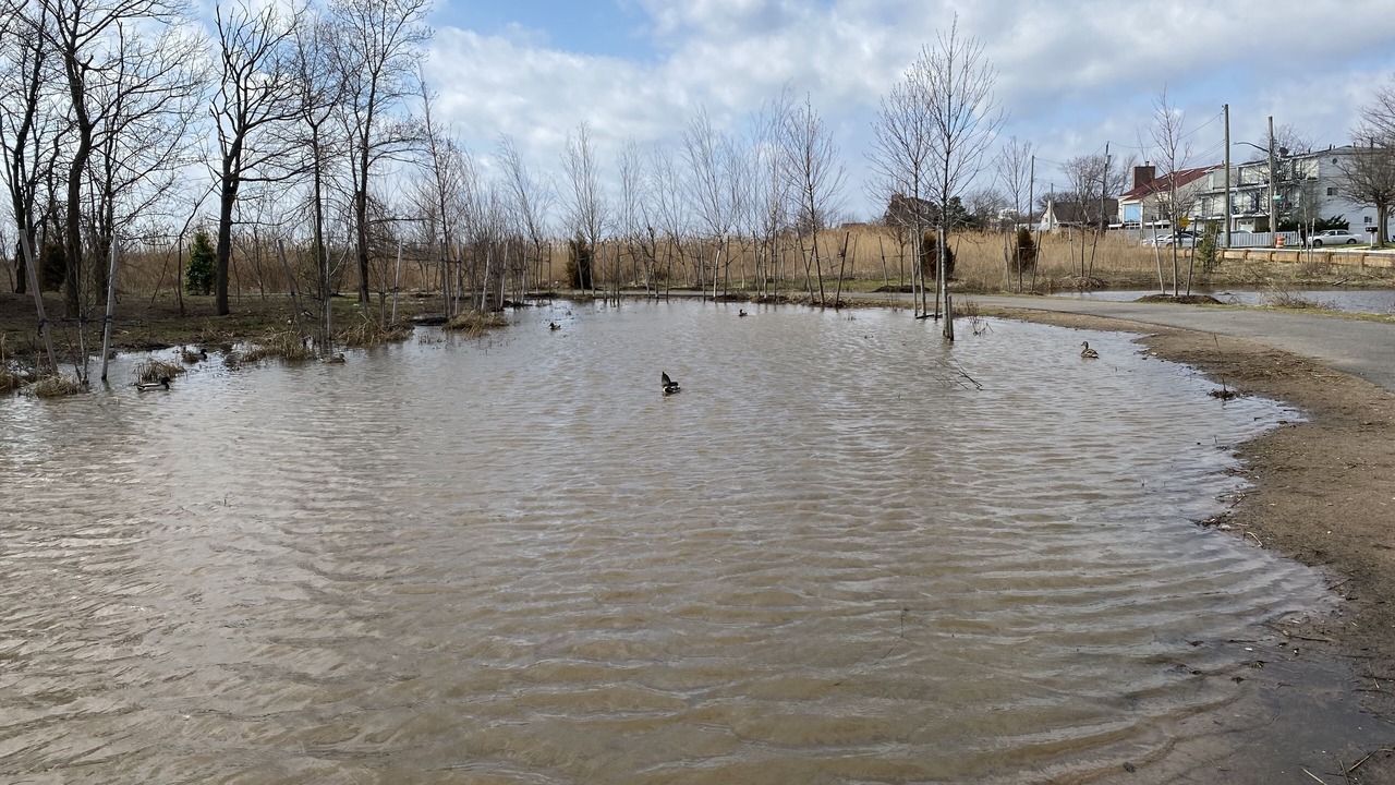 Photo of Others in Great Kills