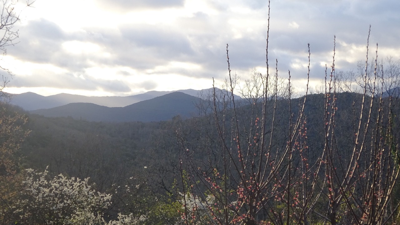 Photo of Others in Thoiras