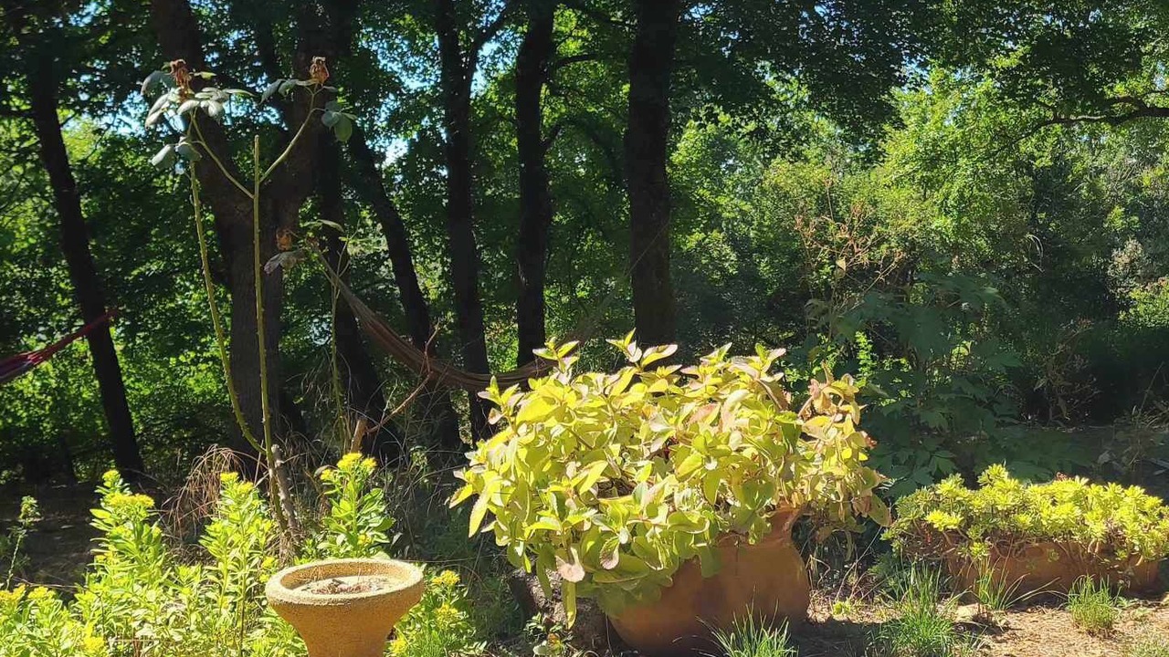 Photo of Outdoor in Thoiras