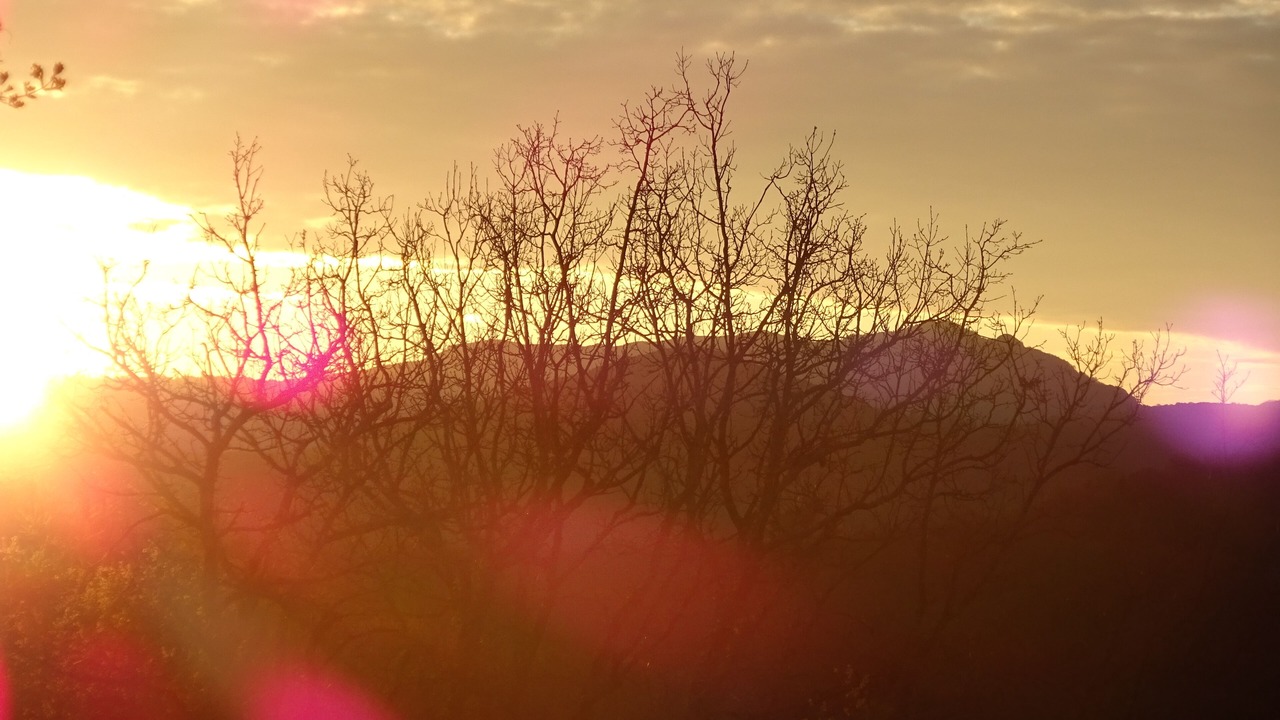 Photo of Others in Thoiras