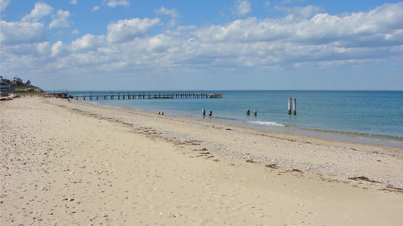 Photo of Others in Oak Bluffs