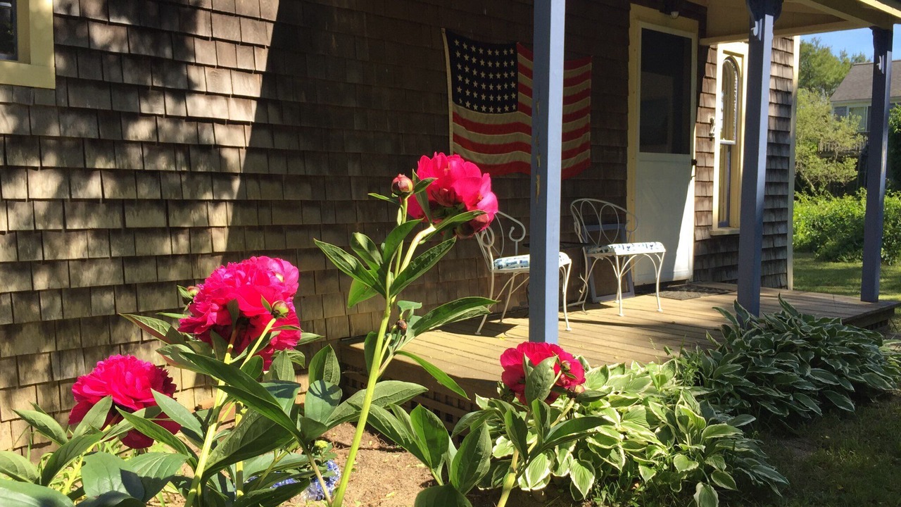 Photo of Outdoor in Oak Bluffs