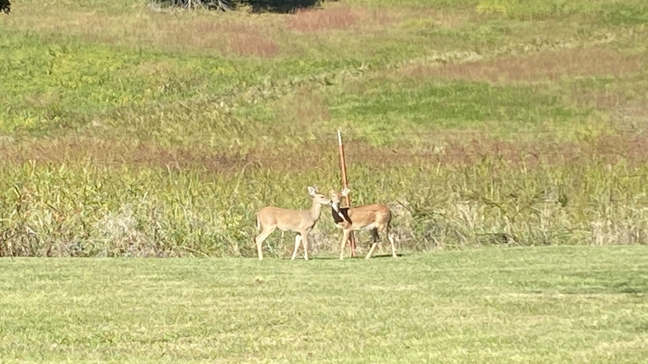 Photo of Outdoor in Greenfield