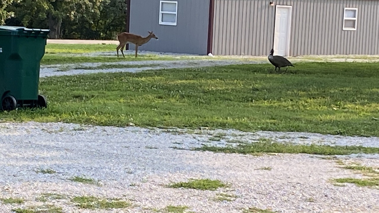 Photo of Others in Greenfield