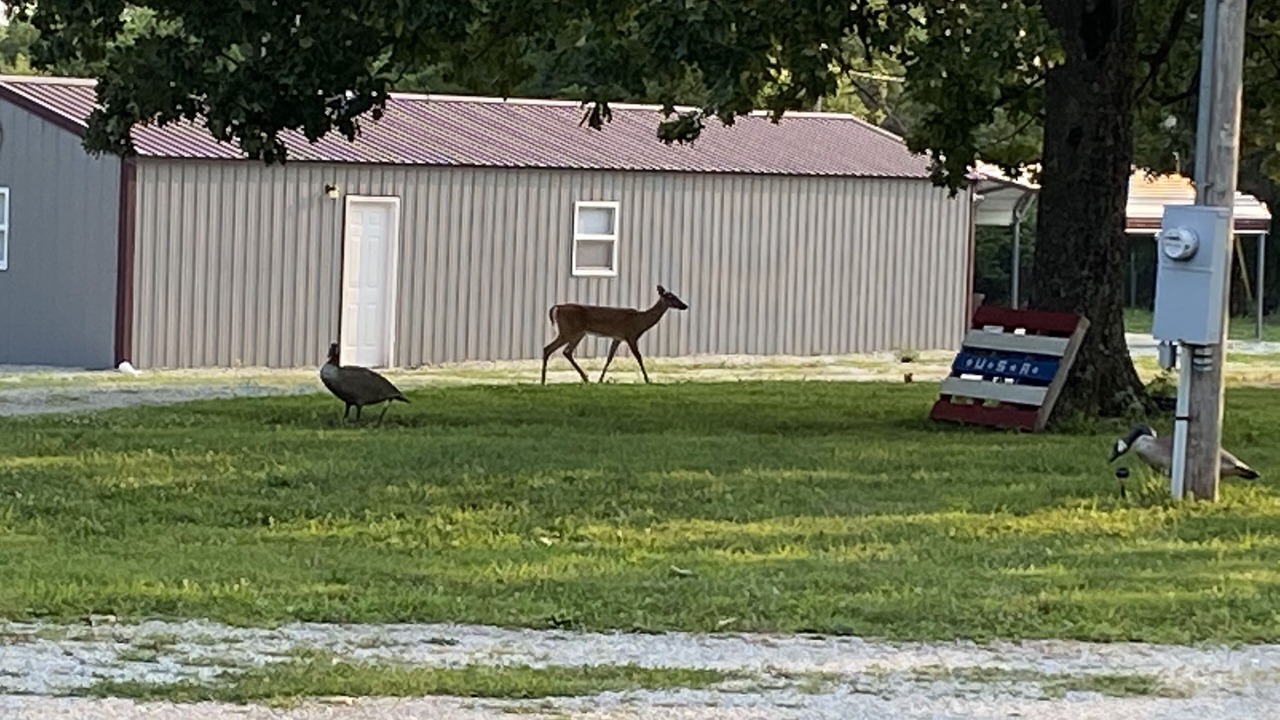 Photo of Others in Greenfield