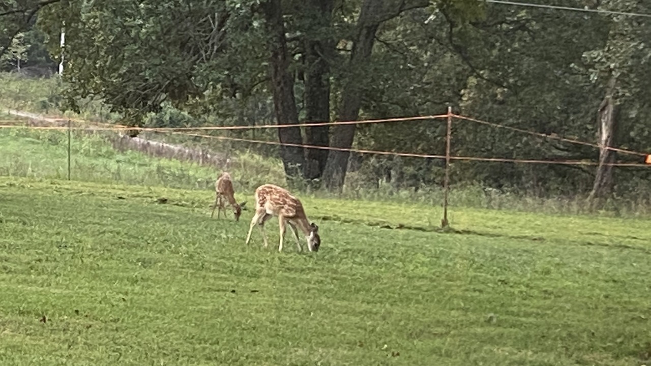 Photo of Outdoor in Greenfield