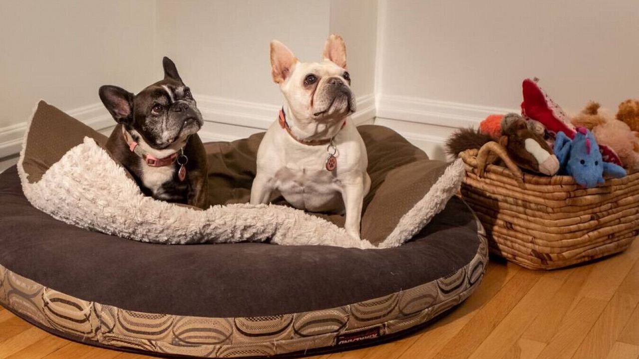 Photo of Others in Walla Walla