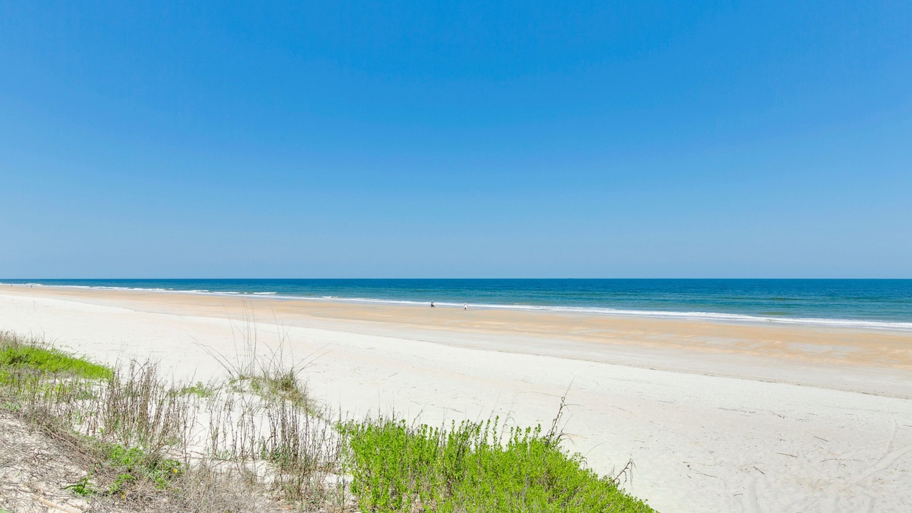 Photo of Others in Sawgrass