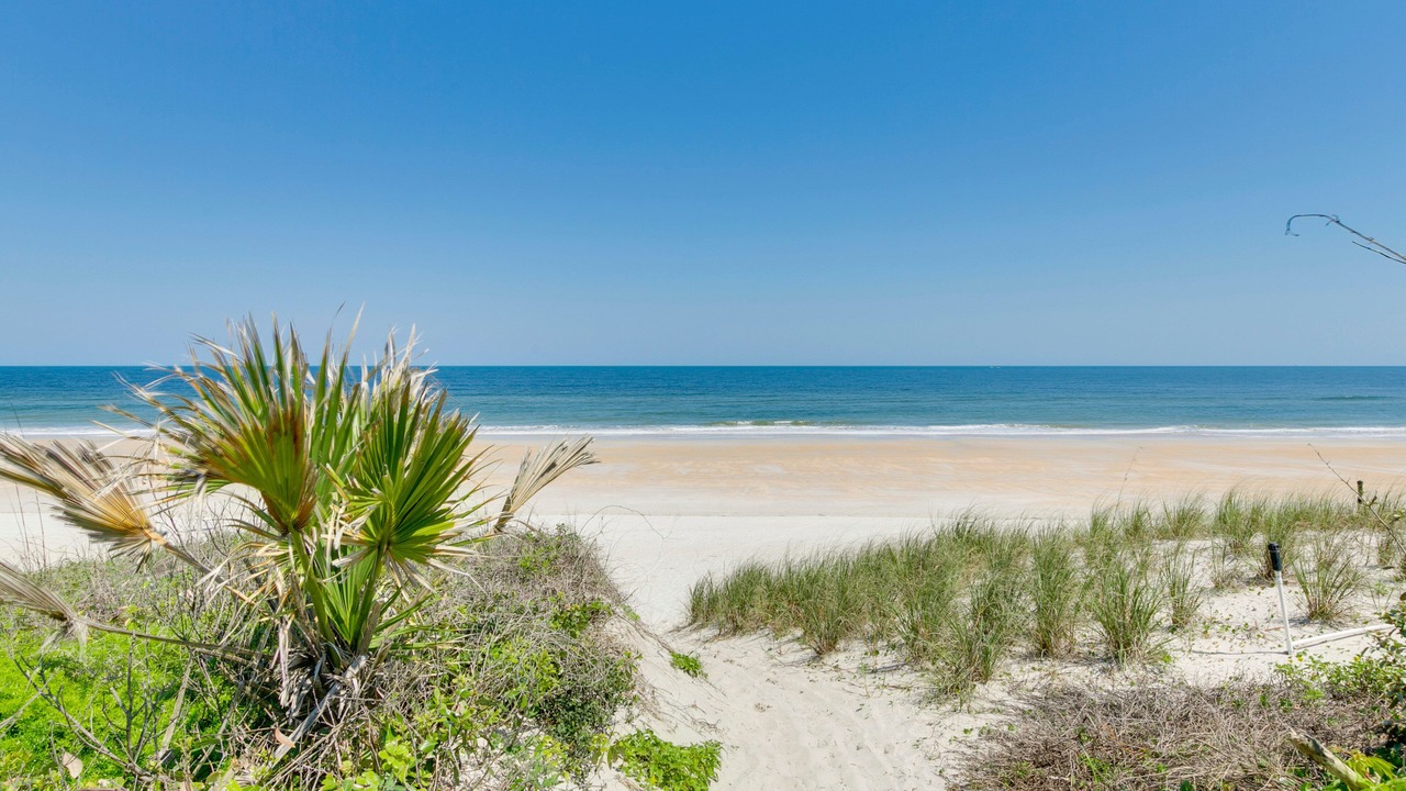 Photo of Others in Sawgrass