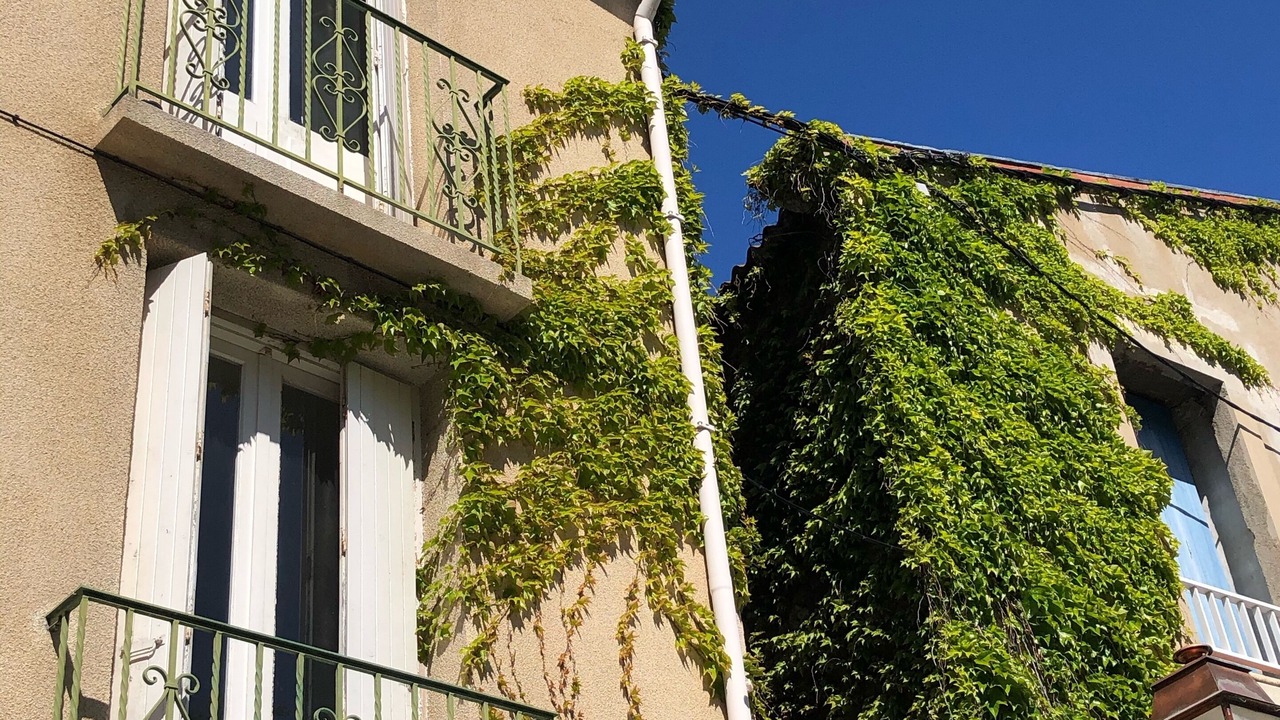 Photo of Outdoor in Sainte-Marie-la-Mer