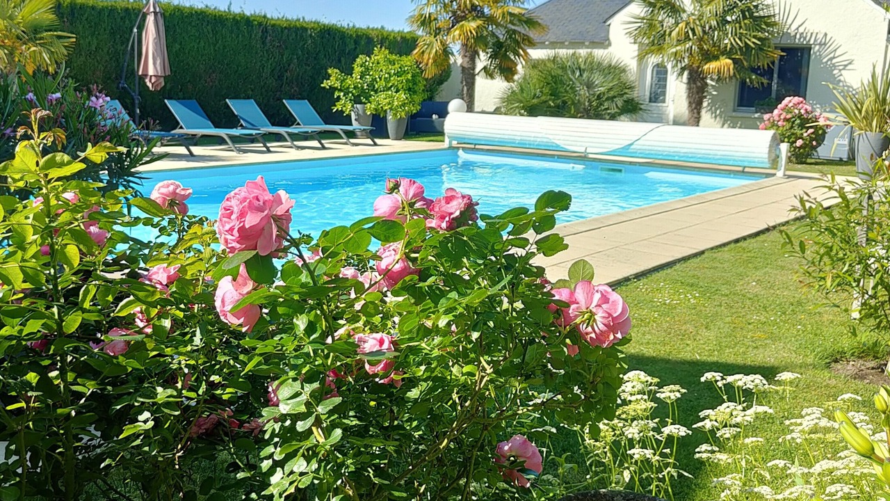 Photo of Outdoor in Saint-Branchs