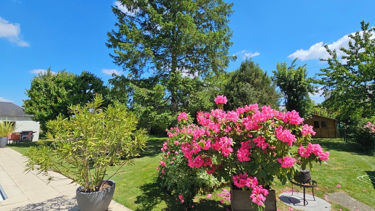 Photo of Outdoor in Saint-Branchs