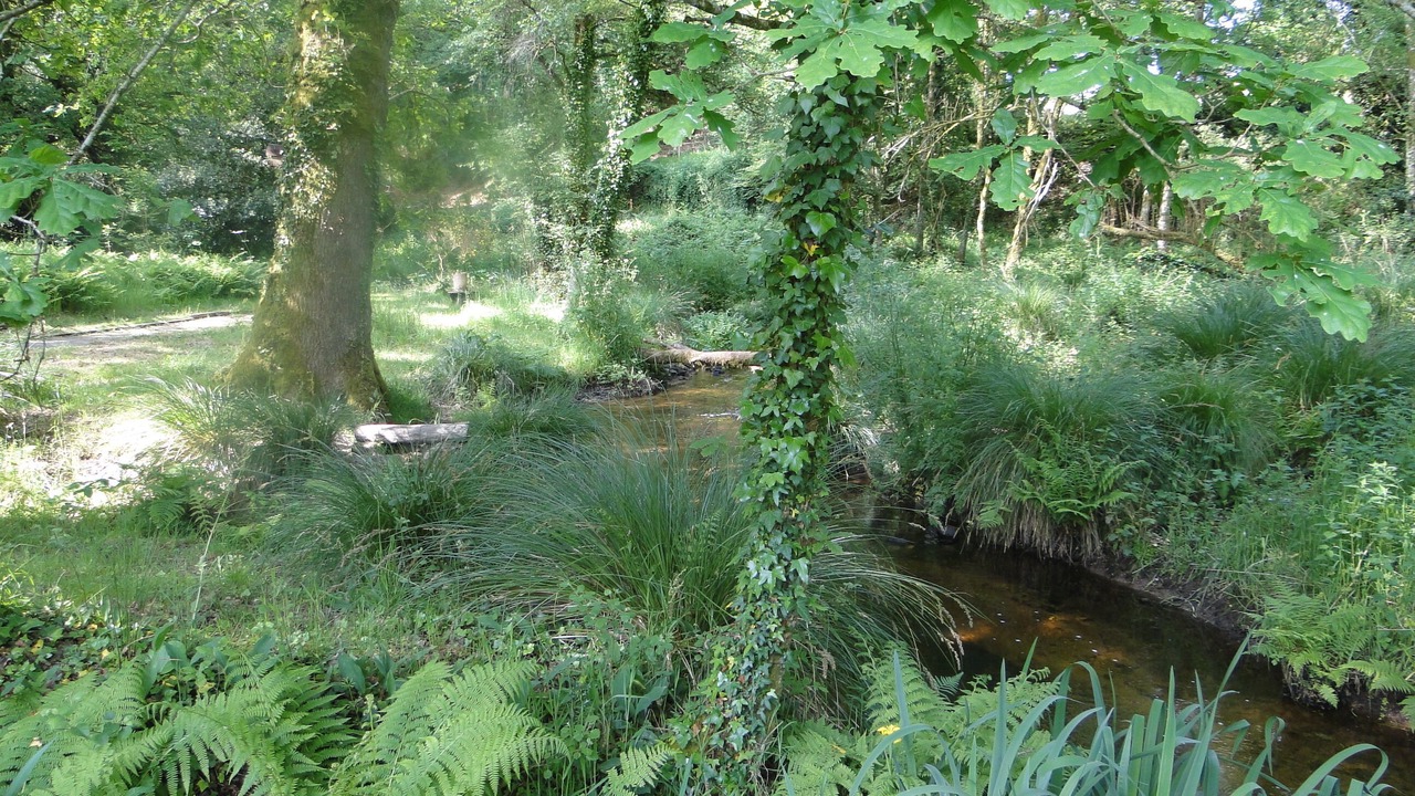 Photo of Outdoor in Persquen