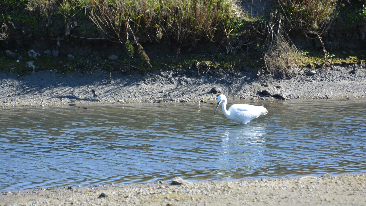 Photo of Others in Le Pouliguen