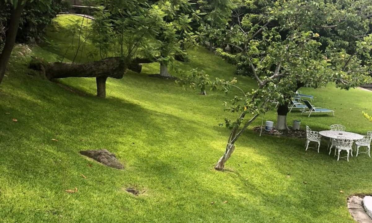 Photo of Outdoor in Tequesquitengo