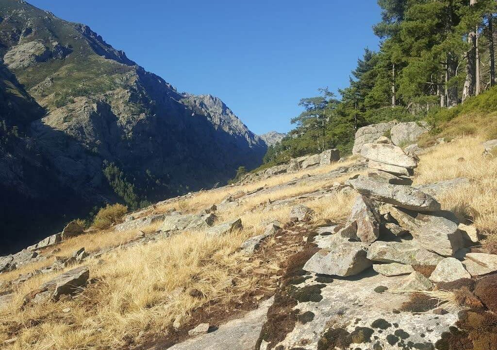 Photo of Others in Omessa